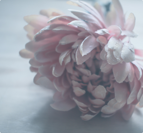 빚 상속 어떻게 막을까요?